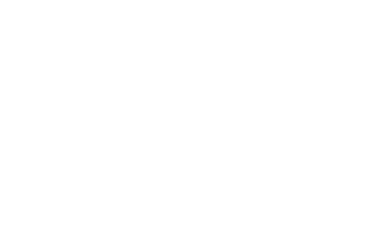 logo Chateau de Bagnols